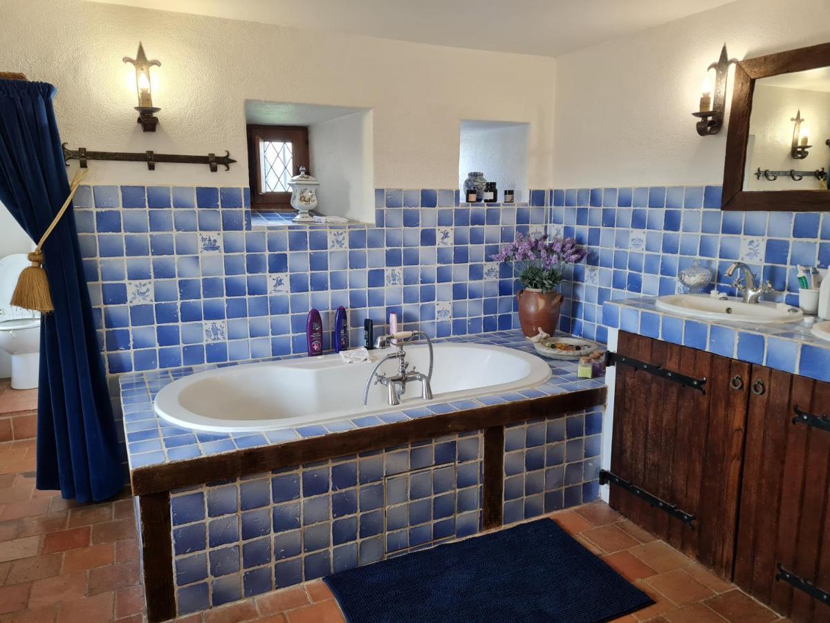 Manoir De La Beuneche - Location Du Manoir Entier Roeze-sur-Sarthe Eksteriør bilde