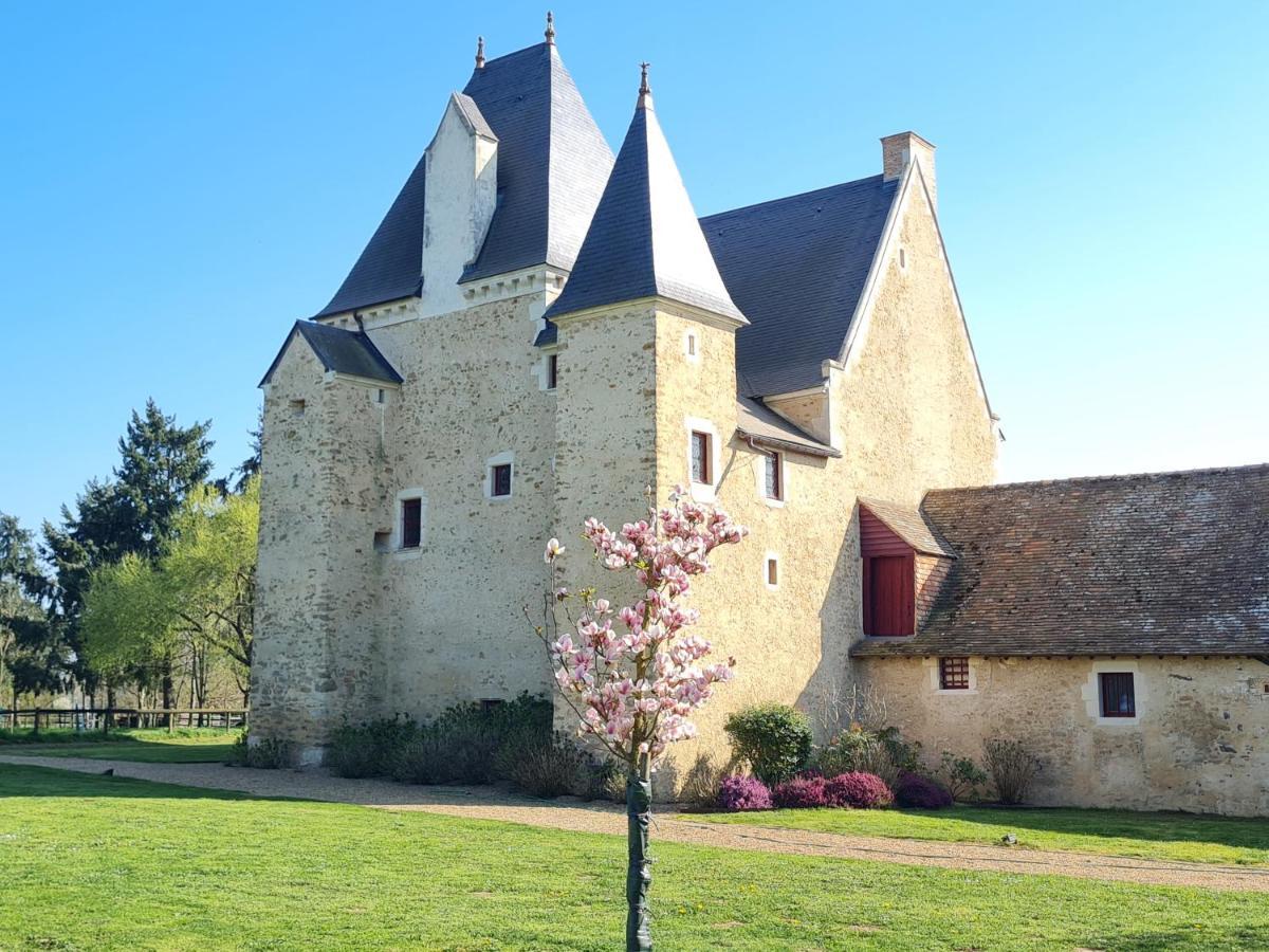 Manoir De La Beuneche - Location Du Manoir Entier Roeze-sur-Sarthe Eksteriør bilde